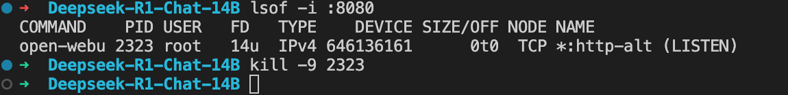 6DSZt5